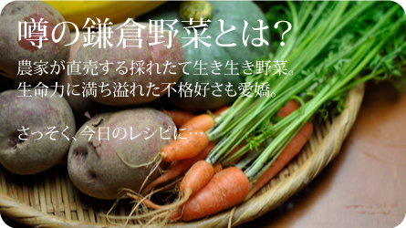 我が家の隠し味「鎌倉野菜」